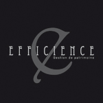 Efficience Groupe
