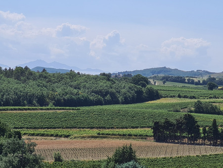 vente terrain Routier