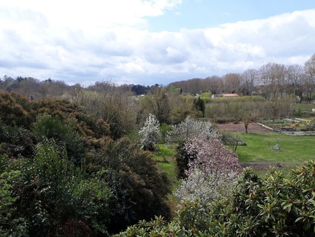 location maison Carbonne