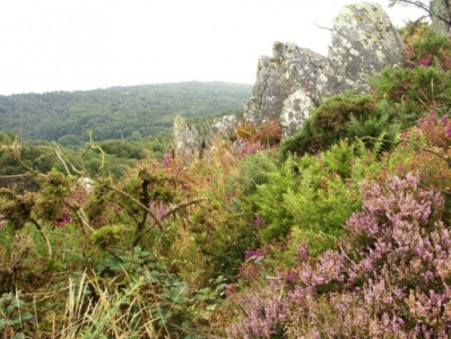 location gite Mur de bretagne