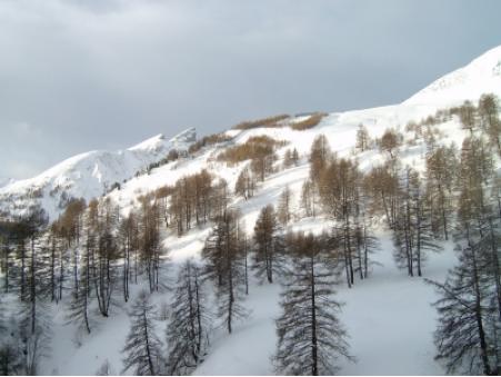 location appartement La foux d allos