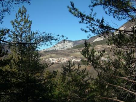 location appartement Moriez