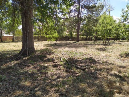 vente terrain La salvetat saint-gilles