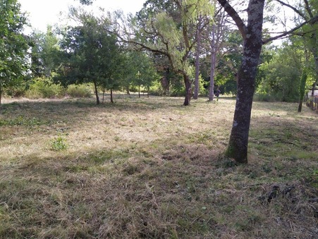 vente terrain La salvetat saint-gilles