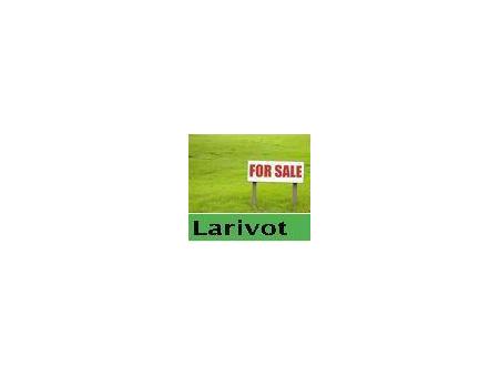 vente terrain Matoury