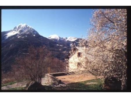 location gite Méolans revel