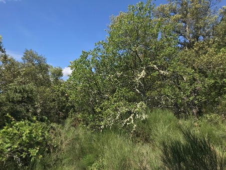 vente terrain Baudinard sur verdon