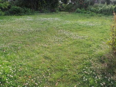 vente terrain Bousbecque