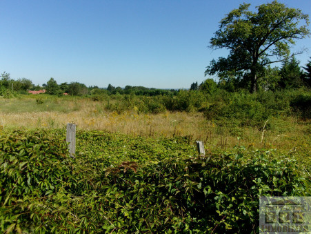 vente terrain Marcilloles