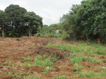 vente terrain Vincendo