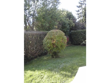 location maison Mouvaux
