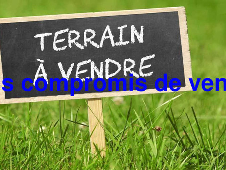 vente terrain Orgerus