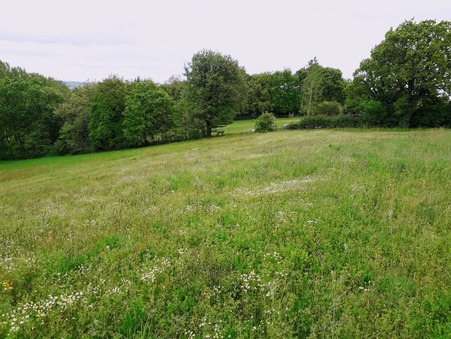 vente terrain Arthes