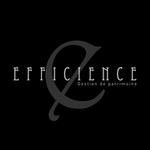  EFFICIENCE