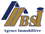 BSI