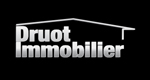 Agence Druot Immobilier 12