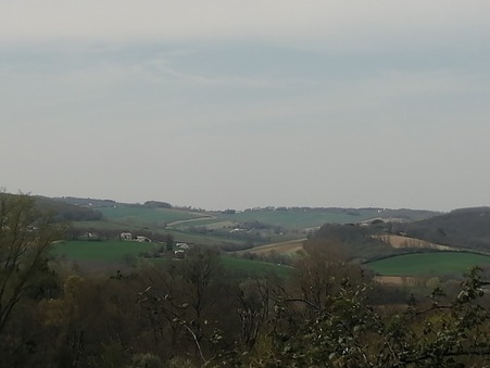vente terrain Levignac