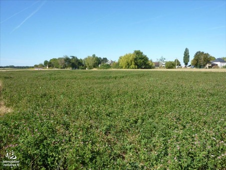 vente terrain Villevoques