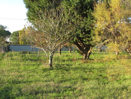 vente terrain Montaigut sur save