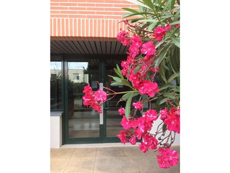 location appartement Toulouse