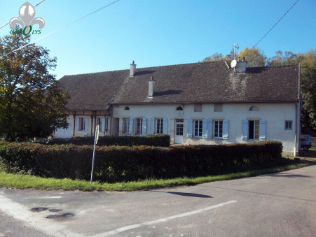 vente immeuble Seurre