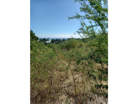 vente terrain Possession