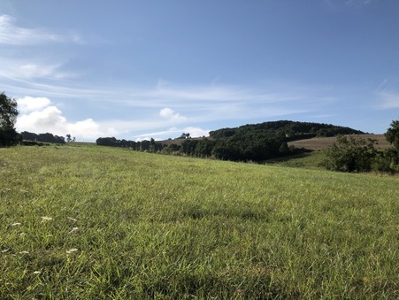 vente terrain Lagardelle sur leze