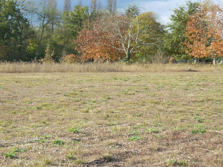 vente terrain Rion des landes