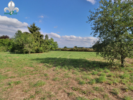 vente terrain Seurre