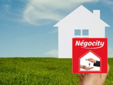 vente terrain Seurre
