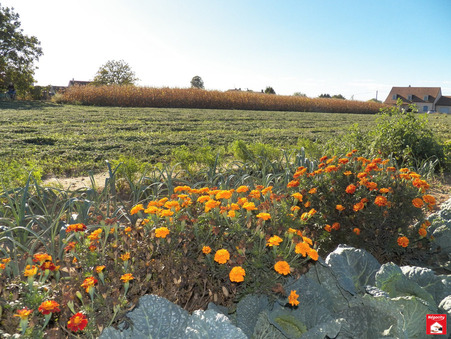vente terrain Seurre