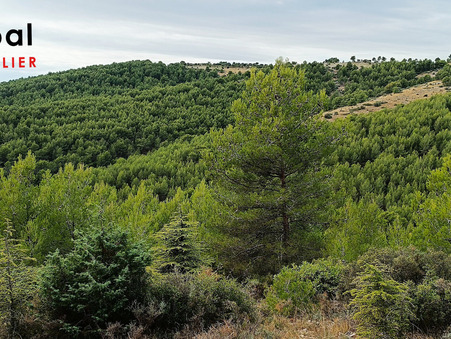 vente terrain Crillon-le-brave