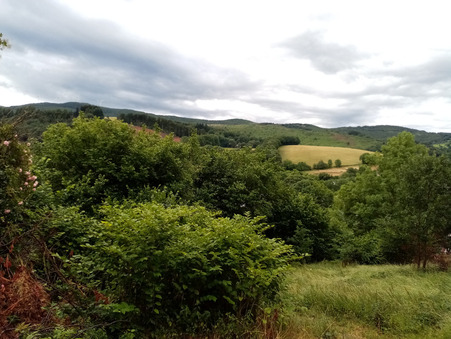 vente terrain Fraisse-sur-agout