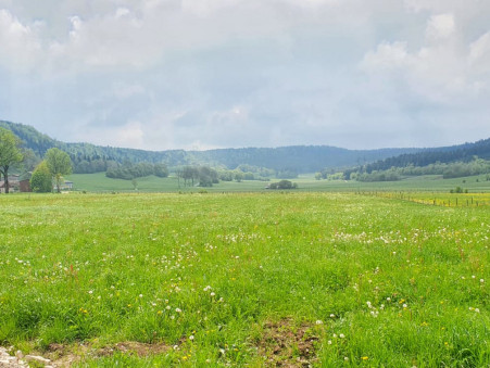 vente terrain Sombacour