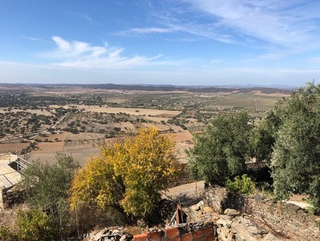 vente maison toulouse