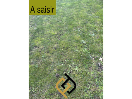 properties