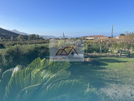 vente maison Calvi