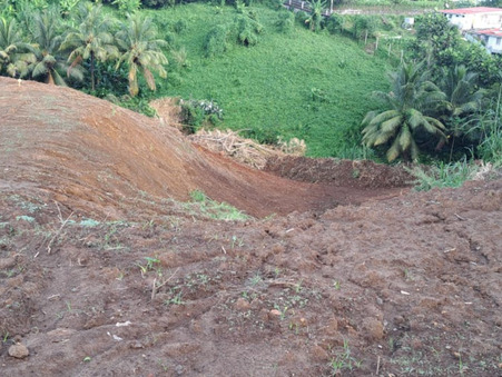 vente terrain Lorrain