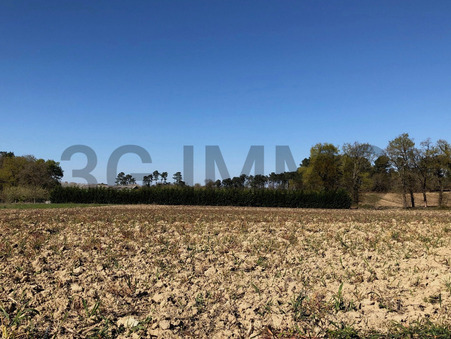 vente terrain Momuy