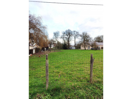 vente terrain Saffre