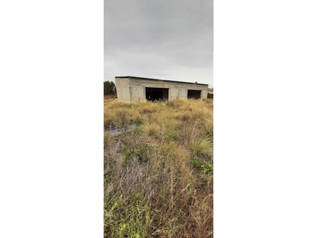 vente terrain Tourouzelle