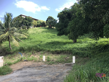 vente terrain Sainte-luce