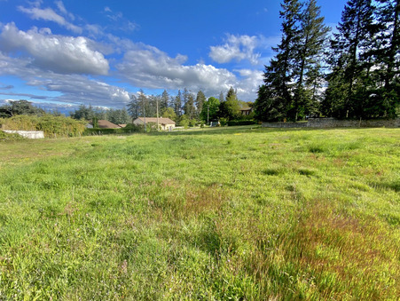 vente terrain Roiffieux