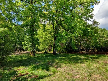 vente terrain Villefranche-de-lonchat