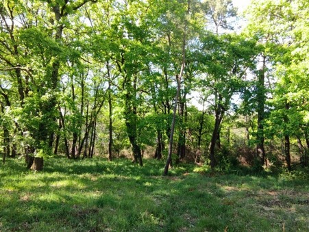 vente terrain Villefranche-de-lonchat