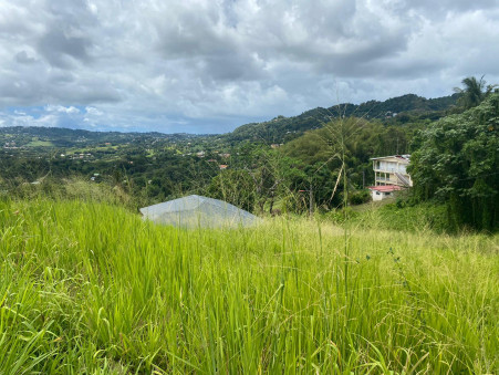 vente terrain Le lamentin