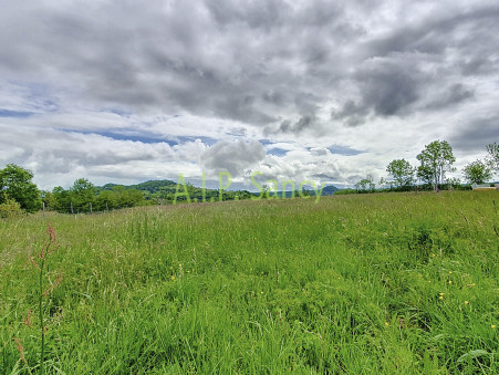 vente terrain Saint-diéry