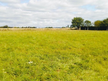 vente terrain La loupe