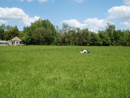 vente terrain Taupont