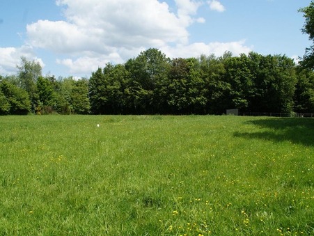 vente terrain Taupont